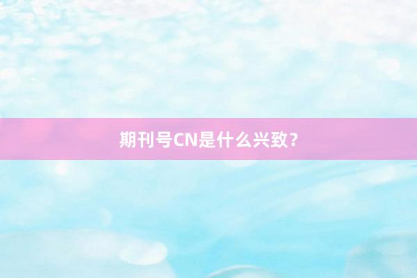 期刊号CN是什么兴致？